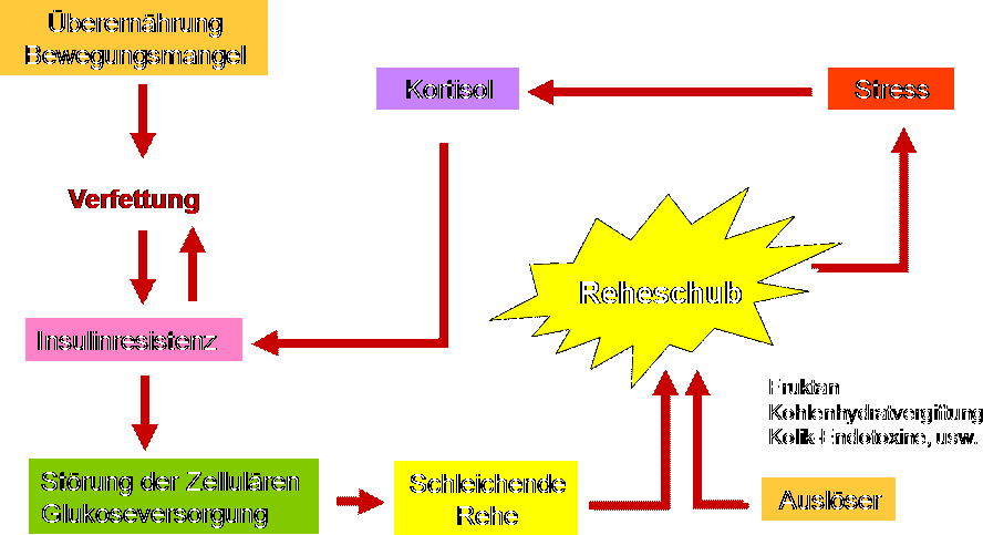 Teufelskreis Equines Metabolisches Syndrom
